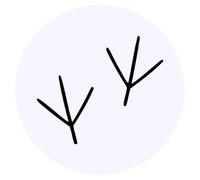 Azeeda 24 x 'Bird Foot Prints' Round Stickers - 4cm (SK00073601)