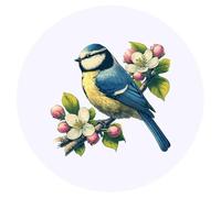 Azeeda 24 x 'Blue Tit On Apple Blossom' Round Stickers - 4cm (SK00067963)
