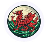 Azeeda 24 x 'Circular Welsh Red Dragon' Stickers - for Crafts, Scrapbooking and Labelling (SK00075845)