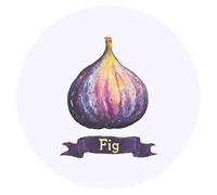 Azeeda 24 x 'Fig Fruit' Stickers - for Crafts, Scrapbooking and Labelling (SK00073882)