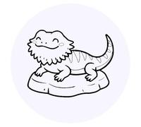 Azeeda 24 x 'Happy Bearded Dragon' Stickers - for Crafts, Scrapbooking and Labelling (SK00074645)