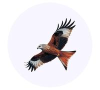 Azeeda 24 x 'Red Kite Bird of Prey' Stickers - for Crafts, Scrapbooking and Labelling (SK00075865)