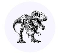 Azeeda 24 x 'T Rex Dinosaur Skeleton' Round Stickers - 4cm (SK00073154)