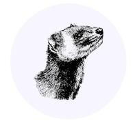 Azeeda 24 x 'Weasel Portrait' Round Stickers - 4cm (SK00076585)
