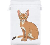 Azeeda 25cm 'Abyssinian Cat' Satin Drawstring Bag/Pouch (SB00145192)