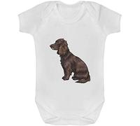 Azeeda 3-6 Month 'Sprocker Spaniel' Baby Grow/Bodysuit (GR00091373)