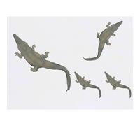 Azeeda 4 x 'Alligator Top View' Temporary Tattoos - Water Resistant, Skin-Safe, Non-Toxic Transfers, Mixed Sizes (TO00087000)
