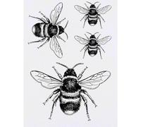 Azeeda 4 x 'Bee' Temporary Tattoos - Striped Pollinator Garden Insect Etching - Water Resistant, Skin-Safe, Non-Toxic Transfers, Mixed Sizes (TO00002941)