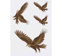 Azeeda 4 x 'Bird of Prey' Temporary Tattoos (TO00096846)