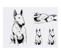 Azeeda 4 x 'Bull Terrier Portrait' Temporary Tattoos - Water Resistant, Skin-Safe, Non-Toxic Transfers, Mixed Sizes (TO00102334)