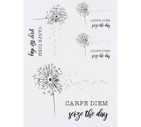 Azeeda 4 x 'Carpe Diem: Seize The Day' Temporary Tattoos (TO00084024)