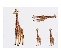 Azeeda 4 x 'Carved Giraffe' Temporary Tattoos - Water Resistant, Skin-Safe, Non-Toxic Transfers, Mixed Sizes (TO00101190)
