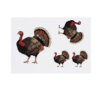 Azeeda 4 x 'Colorful Decorative Turkey' Temporary Tattoos - Water Resistant, Skin-Safe, Non-Toxic Transfers, Mixed Sizes (TO00093876)