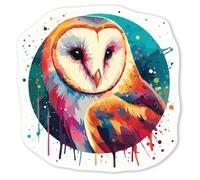 Azeeda 4 x 'Colourful Barn Owl' White Premium Vinyl Decal Stickers - Waterproof, Durable & Easy to Apply - Ideal for Car Bumpers, Windows, Bins and More - Small (50mm) (DW00116132)