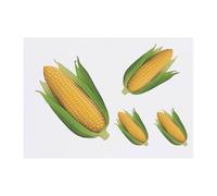 Azeeda 4 x 'Corn On The Cob' Temporary Tattoos - Water Resistant, Skin-Safe, Non-Toxic Transfers, Mixed Sizes (TO00087048)