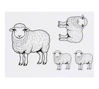 Azeeda 4 x 'Cotswold Sheep' Temporary Tattoos - Water Resistant, Skin-Safe, Non-Toxic Transfers, Mixed Sizes (TO00098118)
