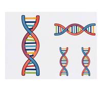 Azeeda 4 x 'DNA Double Helix' Temporary Tattoos - Water Resistant, Skin-Safe, Non-Toxic Transfers, Mixed Sizes (TO00100876)