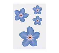Azeeda 4 x 'Forget-Me-Not Flower' Temporary Tattoos - Delicate Blue Wildflower Floral Painting - Water Resistant, Skin-Safe, Non-Toxic Transfers, Mixed Sizes (TO00006732)