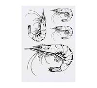 Azeeda 4 x 'Fresh Shrimp' Temporary Tattoos - Water Resistant, Skin-Safe, Non-Toxic Transfers, Mixed Sizes (TO00095704)