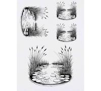 Azeeda 4 x 'Garden Pond' Temporary Tattoos - Water Resistant, Skin-Safe, Non-Toxic Transfers, Mixed Sizes (TO00099708)