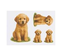 Azeeda 4 x 'Golden Retriever Puppy Sitting On The Grass' Temporary Tattoos - Water Resistant, Skin-Safe, Non-Toxic Transfers, Mixed Sizes (TO00091000)