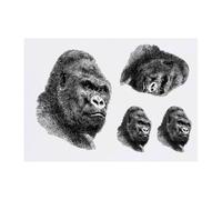Azeeda 4 x 'Gorilla Portrait' Temporary Tattoos - Water Resistant, Skin-Safe, Non-Toxic Transfers, Mixed Sizes (TO00094752)