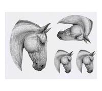 Azeeda 4 x 'Horse Portrait' Temporary Tattoos - Water Resistant, Skin-Safe, Non-Toxic Transfers, Mixed Sizes (TO00102164)