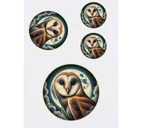 Azeeda 4 x 'Moonlight Barn Owl' Temporary Tattoos - Water Resistant, Skin-Safe, Non-Toxic Transfers, Mixed Sizes (TO00081698)