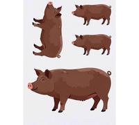 Azeeda 4 x 'Ossabaw Island Pig' Temporary Tattoos - Water Resistant, Skin-Safe, Non-Toxic Transfers, Mixed Sizes (TO00097930)