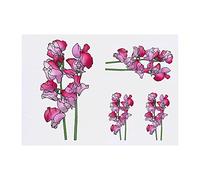 Azeeda 4 x 'Pink Sweetpea Flowers' Temporary Tattoos - Water Resistant, Skin-Safe, Non-Toxic Transfers, Mixed Sizes (TO00059124)