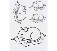 Azeeda 4 x 'Rat Sleeping on Leaf' Temporary Tattoos (TO00104992)