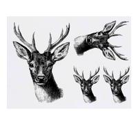 Azeeda 4 x 'Red Deer Portrait' Temporary Tattoos - Water Resistant, Skin-Safe, Non-Toxic Transfers, Mixed Sizes (TO00094750)