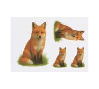 Azeeda 4 x 'Red Fox Sitting In A Meadow Of Grass' Temporary Tattoos - Water Resistant, Skin-Safe, Non-Toxic Transfers, Mixed Sizes (TO00091028)