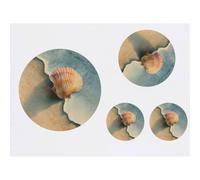 Azeeda 4 x 'Sea Shell on Beach' Temporary Tattoos - Water Resistant, Skin-Safe, Non-Toxic Transfers, Mixed Sizes (TO00102322)