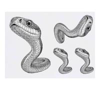 Azeeda 4 x 'Snake Close Up' Temporary Tattoos - Water Resistant, Skin-Safe, Non-Toxic Transfers, Mixed Sizes (TO00102168)