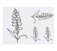 Azeeda 4 x 'Snapdragon Flower' Temporary Tattoos (TO00099502)