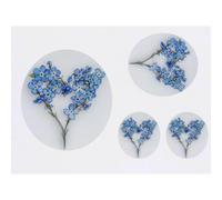 Azeeda 4 x 'Sprig of Forget Me Nots' Temporary Tattoos - Water Resistant, Skin-Safe, Non-Toxic Transfers, Mixed Sizes (TO00081064)