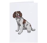 Azeeda 4 x 'Springer Spaniel' Gift Tags/Labels (GI00043765)