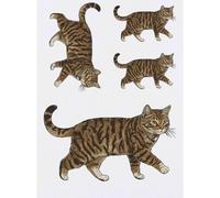 Azeeda 4 x 'Tabby Cat Walking' Temporary Tattoos (TO00095544)