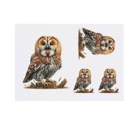 Azeeda 4 x 'Tawny Owl Calling' Temporary Tattoos - Water Resistant, Skin-Safe, Non-Toxic Transfers, Mixed Sizes (TO00089554)