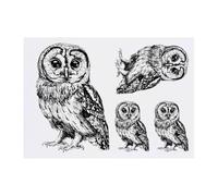Azeeda 4 x 'Tawny Owl Standing' Temporary Tattoos - Water Resistant, Skin-Safe, Non-Toxic Transfers, Mixed Sizes (TO00086330)