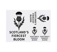 Azeeda 4 x 'Thistle Scotland's Fiercest Bloom' Temporary Tattoos - Water Resistant, Skin-Safe, Non-Toxic Transfers, Mixed Sizes (TO00088510)