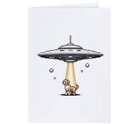 Azeeda 4 x 'UFO Beaming up a Dog' Gift Tags/Labels (GI00129055)