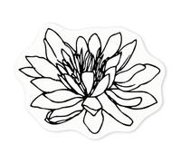 Azeeda 4 x 'Water Lily Flower Open' Clear Premium Vinyl Decal Stickers - Waterproof, Durable & Easy to Apply - for Car Bumpers, Windows, Bins & More - Small (50mm) (DC00029393)