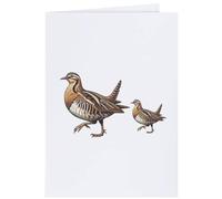 Azeeda 4 x 'Woodcock Birds Strutting' Gift Tags/Labels (GI00138148)