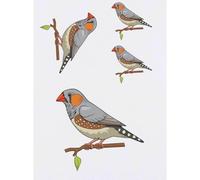 Azeeda 4 x 'Zebra Finch ' Temporary Tattoos (TO00096468)