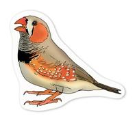 Azeeda 4 x 'Zebra Finch' White Premium Vinyl Decal Stickers - Waterproof, Durable & Easy to Apply - for Car Bumpers, Windows, Bins & More - Small (50mm) (DW00087080)