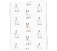 Azeeda 5 x A1 'Arctic Hare' Gift Wrap/Wrapping Paper Sheets (GI00134037)