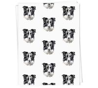 Azeeda 5 x A1 'Border Collie Portrait' Gift Wrap/Wrapping Paper Sheets (GI00134112)