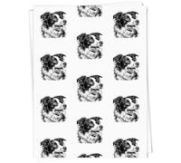 Azeeda 5 x A1 'Border Collie Portrait' Gift Wrap/Wrapping Paper Sheets (GI00143484)